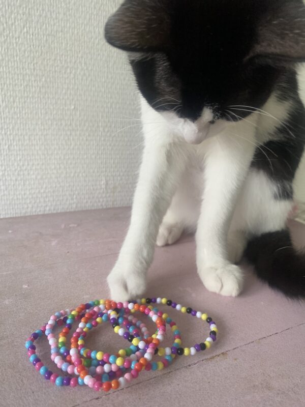 Bracelet LGBT+ en perles – Image 2
